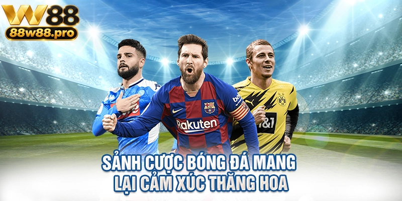 Sảnh cược bóng đá mang lại cảm xúc thăng hoa